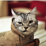 Profile Picture of Valentin Johny_bob (@johnny_jahnny) on Flickr