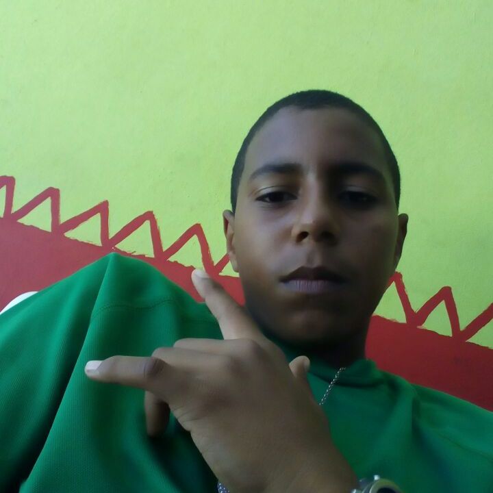 Profile Picture of 8096937838 (@@willianpolanco) on Tiktok