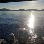 Profile Picture of Matthew Mudie (@matthewmudie) on Instagram