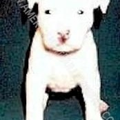 Profile Picture of Cameron David (@420367833) on Myspace