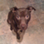 Maria Salpietro - Flickr Profile Picture of Maria Salpietro (@mtsalpietro) on Flickr