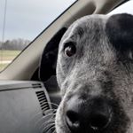Profile Picture of Travis Beckwith (@travis.beckwith84) on Instagram