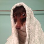 Profile Picture of Brian Richardson (@brichjim) on Instagram