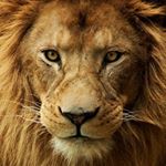 Profile Picture of 👑Emperor👑 (@frankwhite__1) on Instagram