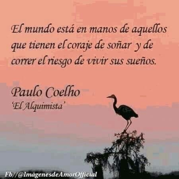 Profile Picture of Jose Arevalo (@josarevalo) on Poshmark