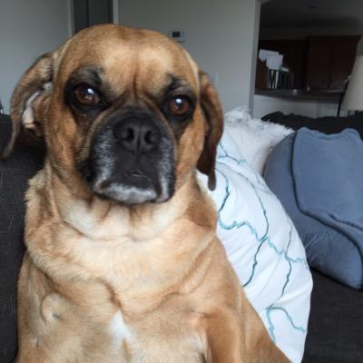 Profile Picture of Matthew Polly (@MatthewPolly1) on Twitter