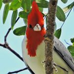 Profile Picture of Nelson Steinbach (@steinbachnelson) on Instagram