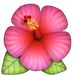 Profile Picture of Ariel Colburn (@arielcolburn) on Pinterest
