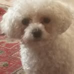 Paul Loxton - Facebook Profile Picture of Paul Loxton (@paul.loxton.7) on Facebook