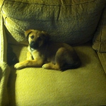 Profile Picture of lori jones (@lackerjones) on Flickr