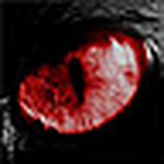 Profile Picture of Alex Wolf (@alex m. wolf) on Flickr