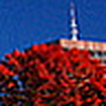 Profile Picture of Robert Snider (@Charlotte NC Attractions) on Flickr