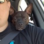 Profile Picture of Jake Bagwell (@jtbagwell85) on Instagram