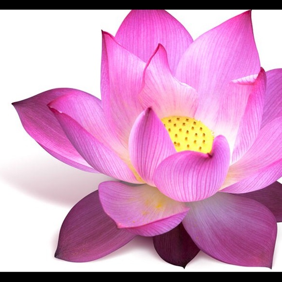 Profile Picture of Brittany Hargrett (@jaysmommyyy) on Poshmark