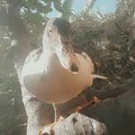 Profile Picture of vitin (@victor._.duque) on Instagram