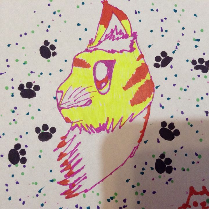 Profile Picture of Iris Bolden (@catsmeeps) on Tiktok