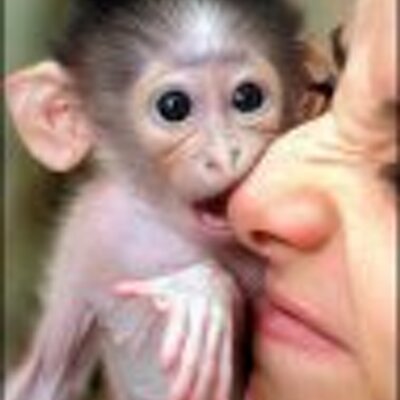 Profile Picture of Nick Rosser (@n3xu55) on Twitter