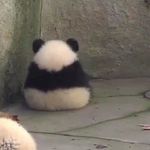 Profile Picture of Kenneth Benjamin O. Padilla (@penkadilla) on Instagram