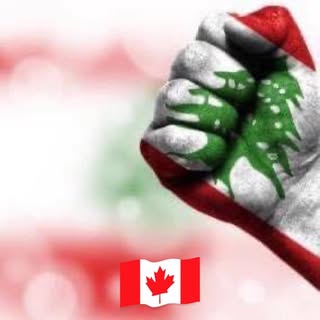 Profile Picture of Samir Fayad (@fayadsamir) on Instagram