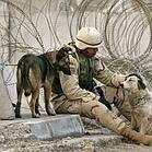 Michael Roleson - Twitter Profile Picture of Michael Roleson (@mike_roles_on) on Twitter