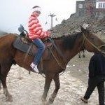 Profile Picture of Jamie Whiting (@jamie4way) on Instagram