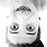 Profile Picture of Rafael Vieira Ruppel (@rafa ruppel) on Flickr