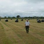 David Feeney - Instagram Profile Picture of David Feeney (@david.feeney.35) on Instagram