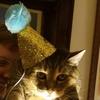 Profile Picture of Heidi Sherman (@heidisherman86) on Tiktok