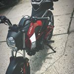 Profile Picture of David Gubbels (@david.gbls) on Instagram