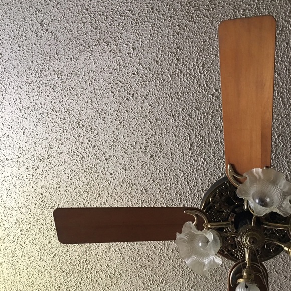 Cordus Bailey - Poshmark Profile Picture of Cordus Bailey (@ghettoturtle) on Poshmark