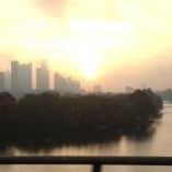 Profile Picture of Robert Palm (@robertpalm) on Pinterest