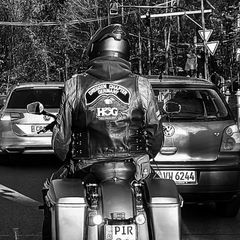 stevehauer - Tiktok Profile Picture of stevehauer (@stevehauer) on Tiktok