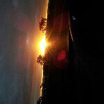 Profile Picture of Miranda Jacobsen (@mirandajac) on Instagram