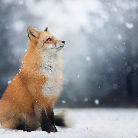 Profile Picture of Kristina Belmani (@kristinabelmanitop) on Tiktok