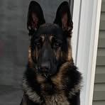 Profile Picture of Richard Lortie (@richard.lortie.71) on Facebook