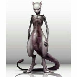 Profile Picture of Fernando De Alencar (@FernandoDeAlen4) on Twitter