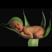 Profile Picture of L Paul (@lpaul1476) on Youtube