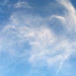 Max Horne - Instagram Profile Picture of Max Horne (@twosmalljumps) on Instagram