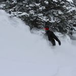 Profile Picture of Jack Purlang (@jack.pulrang) on Instagram