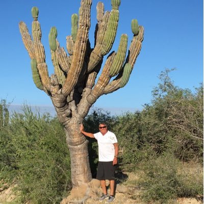 Profile Picture of Dave Zaski (@ZaskiZaskidave) on Twitter