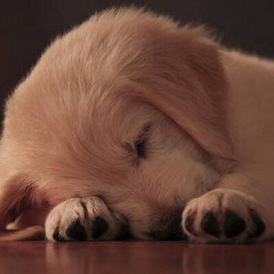 Profile Picture of Mark Slavens (@mslavens1) on Twitter