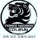Profile Picture of Taekwondo Tigres Negros Colbun (@taekwondotigresnegroscolbun) on Instagram