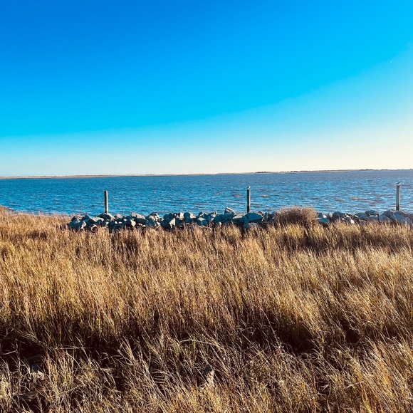 Profile Picture of Denise Degolier (@dndwfkb) on Poshmark