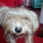 Profile Picture of cramer_shanna (@cramer_shanna) on Instagram