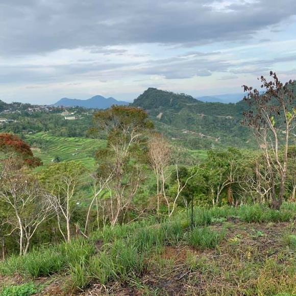 Profile Picture of Laige Wan (@anggie_shan) on Poshmark