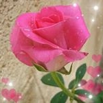 Profile Picture of Jeanette Williams-Jefferson (@jeanettewilliamsjefferson) on Instagram