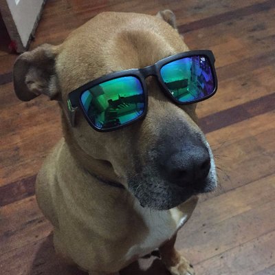 Profile Picture of Arch Hill Studios (@hill_arch) on Twitter