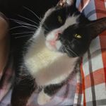 Profile Picture of raeann.bauman (@raeann.bauman) on Instagram