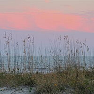 Profile Picture of Sheena Hansen (@SheenaHansen11) on Twitter