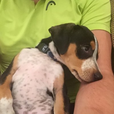 Profile Picture of Brett Hickman (@Brett_Hickman) on Twitter